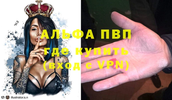 apvp Алексин