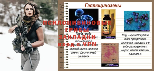 ALPHA PVP Гатчина