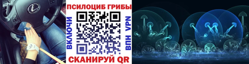 hydra ССЫЛКА  Сенгилей  Галлюциногенные грибы MAGIC MUSHROOMS 