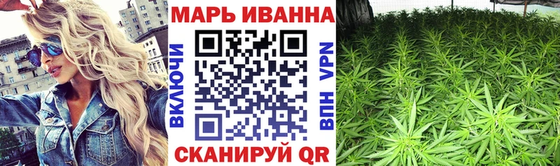 Бошки Шишки ГИДРОПОН  Сенгилей 